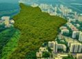 Yellow Fever Evolution at Brazil’s Forest-Urban Interface