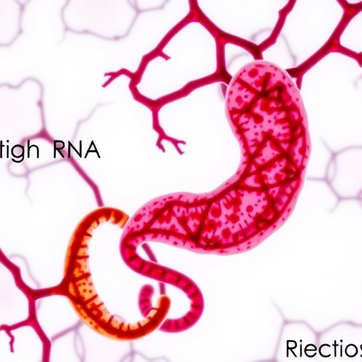 tRNA-Derived Small RNAs Linked to Necrotizing Enterocolitis