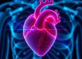 AI-Powered Dual-Mode Optical Sensor for Heart Diagnostics