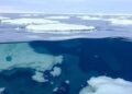 AMOC Collapse May Transform Southern Ocean into Carbon Source, Potentially Adding 0.2°C to Global Warming