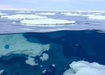 AMOC Collapse May Transform Southern Ocean into Carbon Source, Potentially Adding 0.2°C to Global Warming