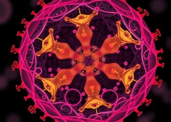 Acetate Drives Bacteria’s Butyrate or Medium-Chain Output