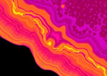 Advancing 7D Pathology: Metasurface Polarimetry Paves the Way for Next-Gen Tissue Diagnostics