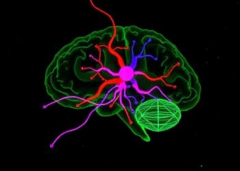 BU Scientists Create Innovative Tool to Explore Interactions Among Brain Cell Types