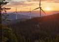 Balancing Forestation and Wind Energy: Regional Climate Priorities