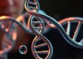 Bar-Ilan University Study Reveals Single DNA Letter Can Cause Complete Sex Reversal