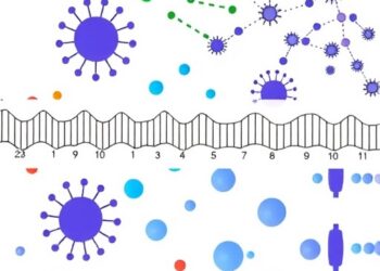 Beyond SCN1A: Exploring Dravet Syndrome’s Genetic Diversity
