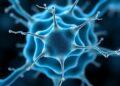 Bioabsorbable Si-Mg Cells Boost Nerve Regeneration
