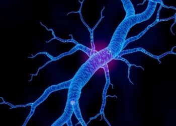 CUX2 Neuron Growth Demands Enhanced DNA Repair
