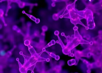 Cell-by-Cell Analysis Reveals Insights into Pregnancy Risks