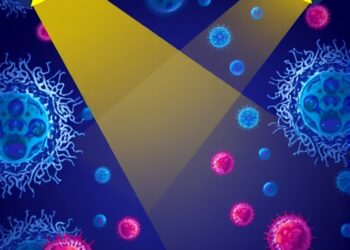 Cells Under the Spotlight: Unveiling Their Inner Secrets — Biology