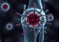 Chikungunya Virus Lingers in Joint Macrophages, Causes Chronic Disease