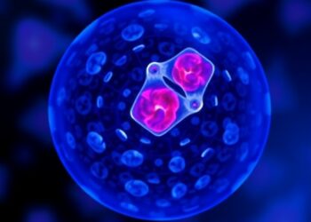 City of Hope and UC Berkeley Scientists Train AI to Detect Cancer Risk by Analyzing Single Breast Cells