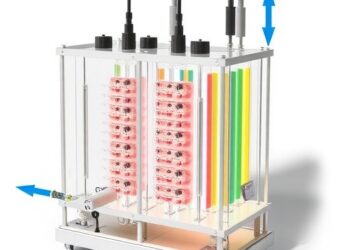 Co-electrolysis of CO2 and H2O in PEM Electrolyzer