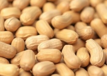 Cold Plasma Treatment Shows Promise in Reducing Allergenicity of Peanuts, Study Finds