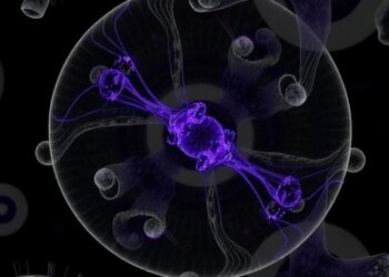 Cytoplasmic Lattices: Massive Storage in Oocytes