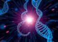 DNA Transforms from Blueprint to Active Field Agent