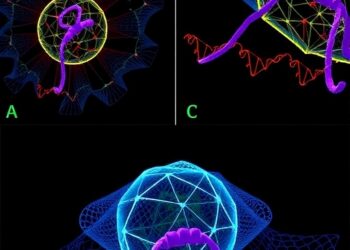 DUX Family Protein Phase Separation Orchestrates 3D Genome Remodeling and Retrotransposon Activation to Induce Totipotent-Like States