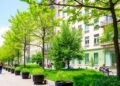 Evaluating European Cities Highlights Urban Greening Needs