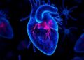 Fetal Heart Stress Linked to Opioids Revealed by Placental EVs