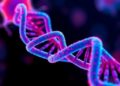 Gene Discovered That Guides Stem Cells and Prevents Them from Losing Direction — Technology and Engineering