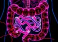Gut Microbe Enhances Immunotherapy for Colorectal Cancer