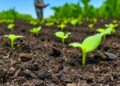 How Biochar Alters Climate-Driven Soil Emissions: The Crucial Role of Soil Type