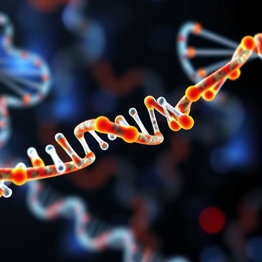 How Mitochondrial DNA Influences Your Health: What Science Reveals