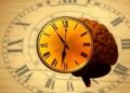 How the Human Brain Constructs Our Sense of Time