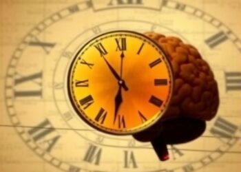 How the Human Brain Constructs Our Sense of Time