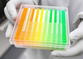 Innovative 10K Liquid SNP Genotyping Array Developed for Wax Gourd