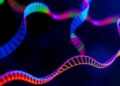 Innovative Tool Simplifies the Study and Modification of Gene Regulation