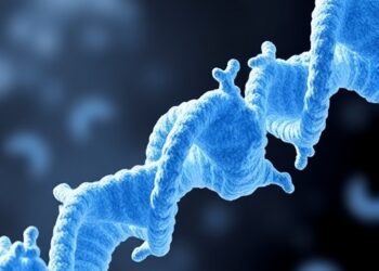 Linker Histone H1 Functions as a Liquid-Like “Glue” Binding Chromatin
