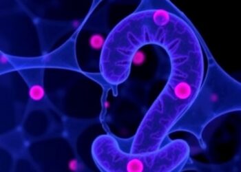 Microbial 10-Oxostearic Acid Shields Mice from Colitis