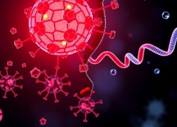 MoCox6: Key Mitophagy Regulator, Drug Target