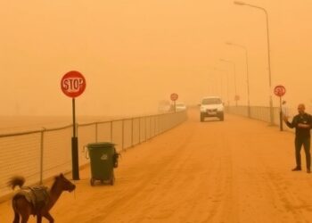 National Dust Storm Impact on Tourism and Infrastructure