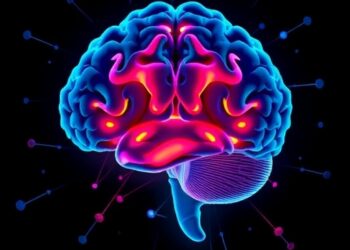 Neural Drivers Behind Maternal Aggression Fluctuations
