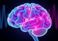 Neurophysiology: Unraveling the Brain’s Recovery Mechanisms After Noise-Induced Injury — Chemistry