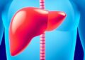 New 1-3 Year Liver Cancer Survival Models Developed