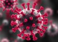 New Study Identifies Key Cell Proteins Fueling Severe Viral Infections