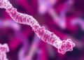 New Study Reveals Bacteria Actively Regulate DNA Exchange, Challenging Gene-Sharing Myth