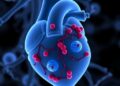 Opioids Detected in Placental EVs Suggest Fetal Heart Stress