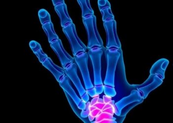 Oxygen’s Role Uncovered: Key Factor in Limb Regeneration Revealed