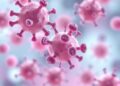 Penicillin-Binding Protein Inhibitors Combat Drug-Resistant Gonorrhea