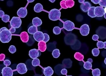 Peptidoglycan Patterns Guide Streptococcus pneumoniae Division
