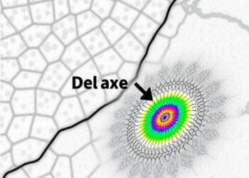 Preserving Features: Advanced Manifold Analysis of Single Cells