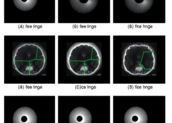 Pupil Response Reliability and Behavior in N-Back Task