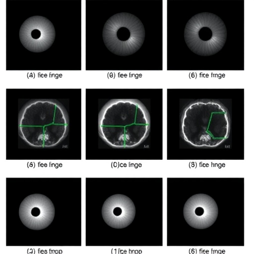 Pupil Response Reliability and Behavior in N-Back Task