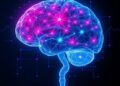 QuantumNeuroXAI: Explainable Quantum-Inspired Brain Signal AI