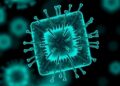 Researchers Develop First Immune-Enabled “Cervix-on-a-Chip” to Advance Study of Sexually Transmitted Infections
